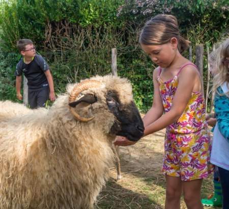 ᐃ DU VIEUX VERGER *** : Camping Frankrijk Bretagne