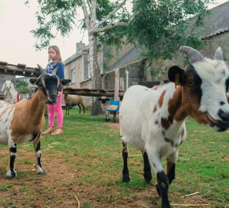 ᐃ DU VIEUX VERGER *** : Camping Frankrijk Bretagne