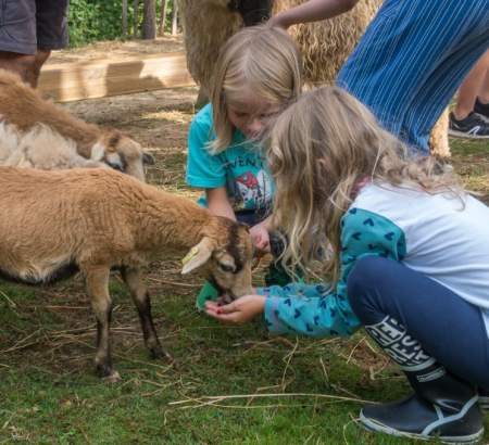 ᐃ DU VIEUX VERGER *** : Camping Frankrijk Bretagne