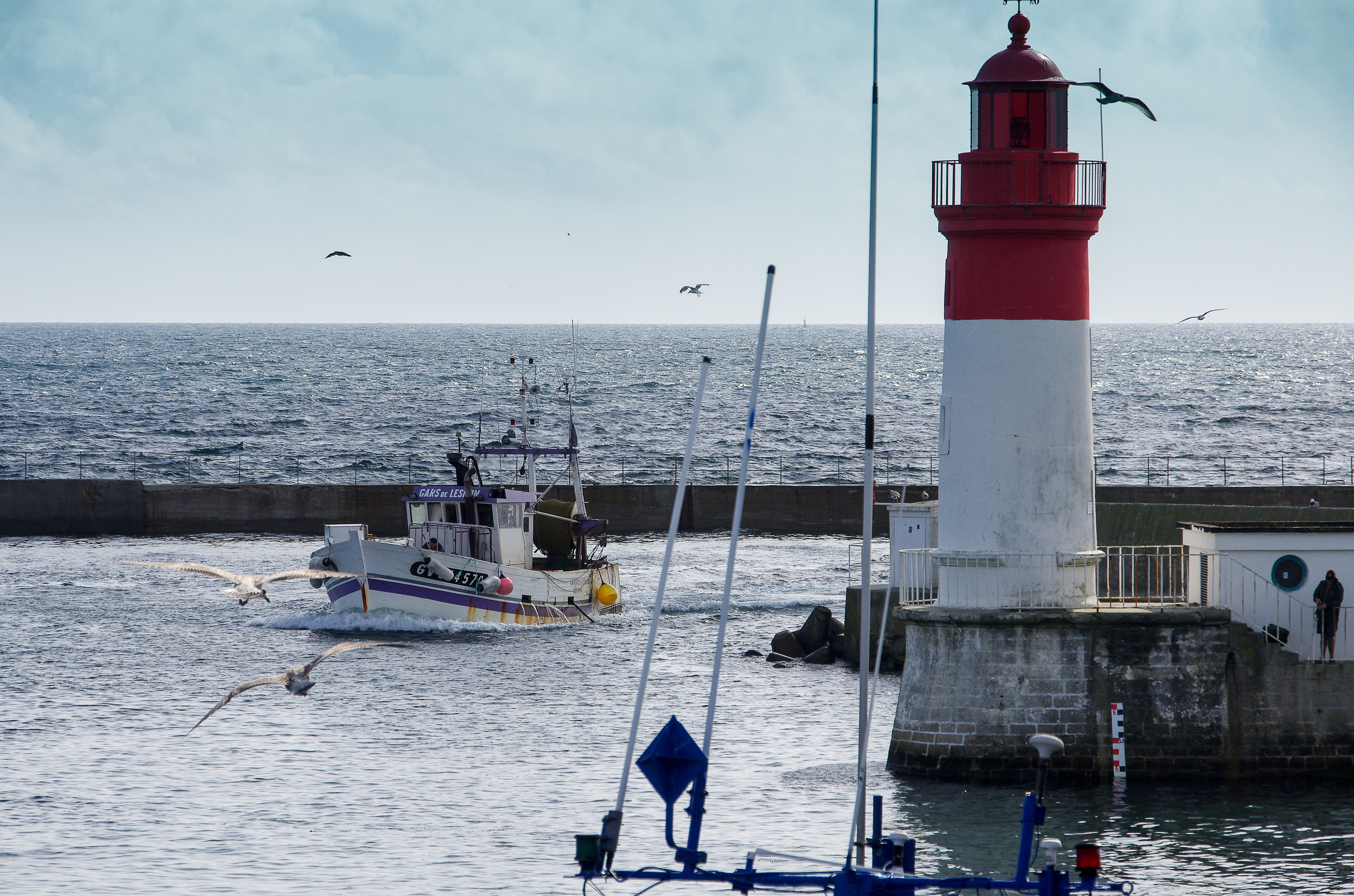 Le Port du Guilvinec