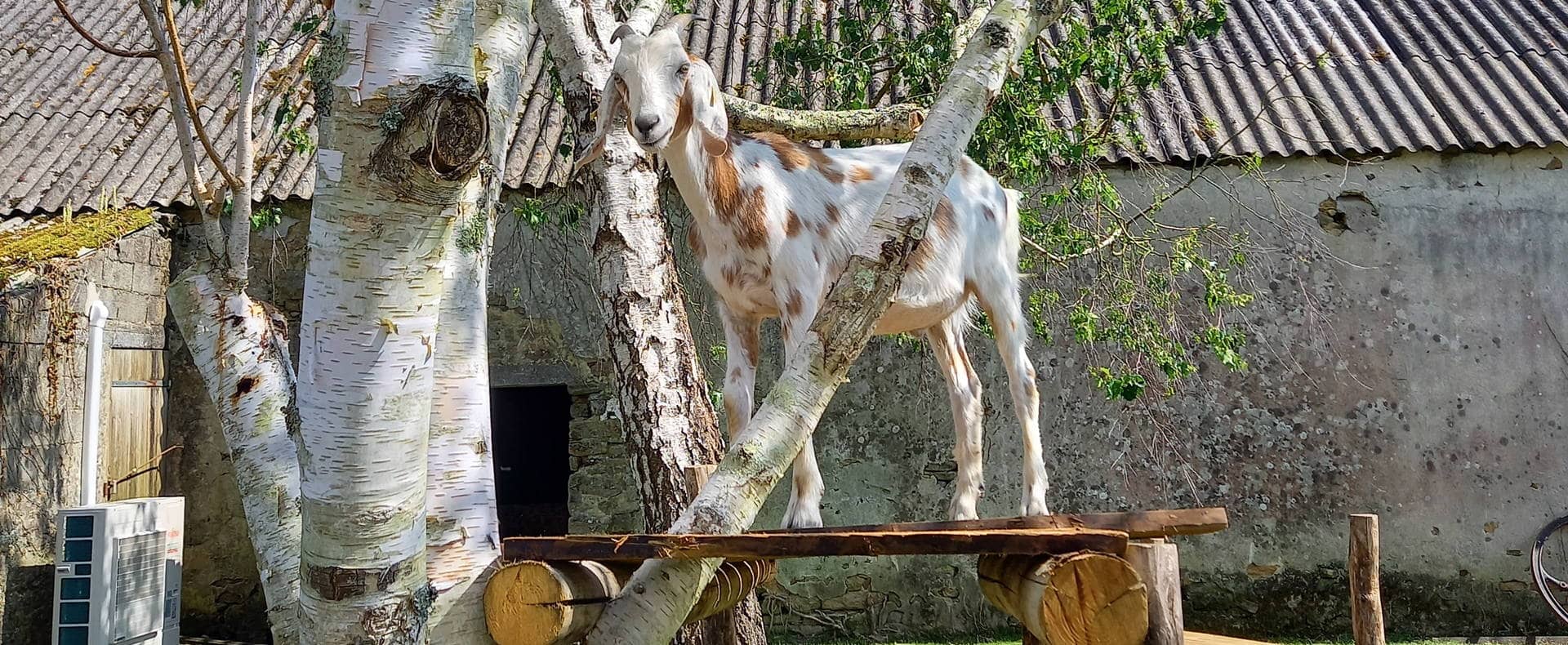 De mini-boerderij